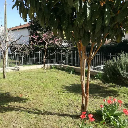 Di Federico דירה קיבאסו