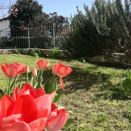 Di Federico